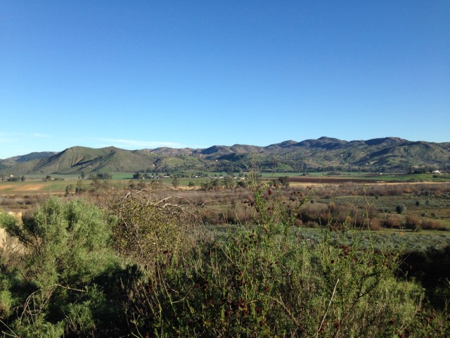 San Diego 50 and Trail Marathon